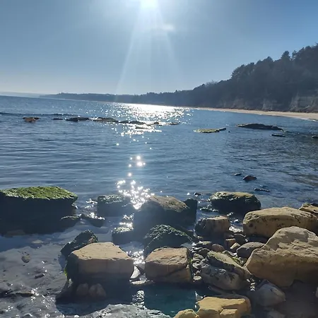 в Oasis Kamchia - стъпки в пясъка *