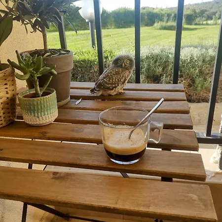 в Oasis Kamchia - стъпки в пясъка Kamčia