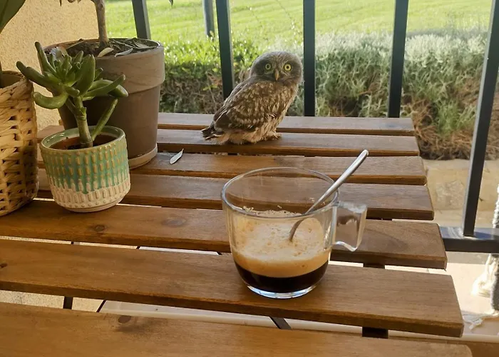 в Oasis Kamchia - стъпки в пясъка Kamczija